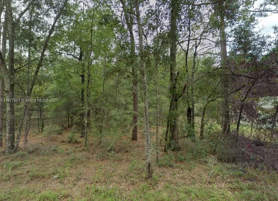 Lot 2 NE 1st Street