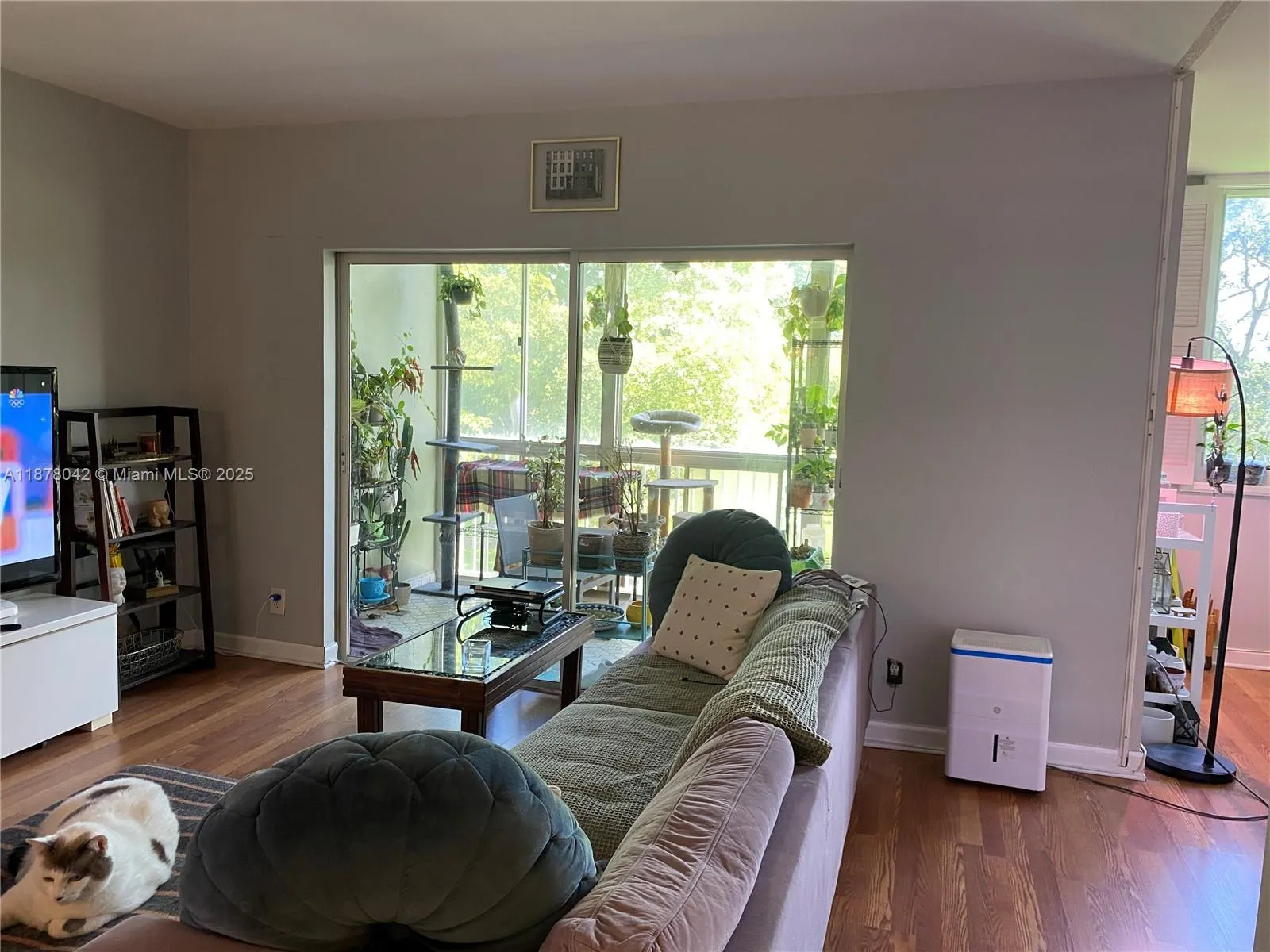 4200 Hillcrest Dr, #303