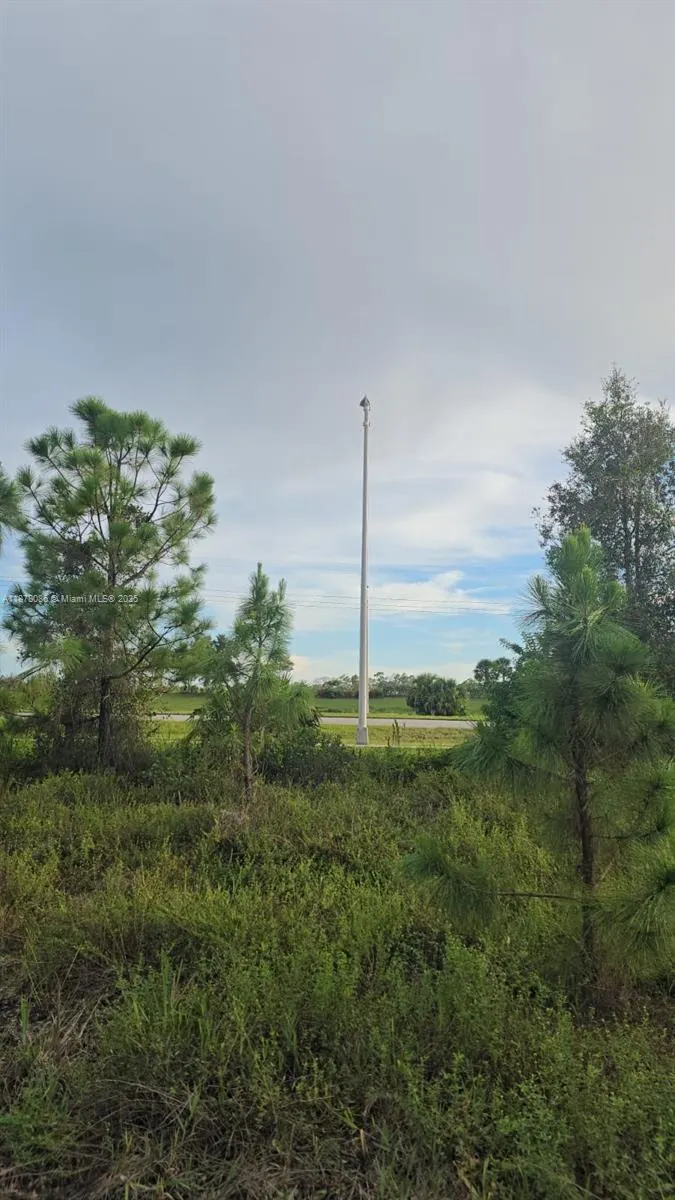 2918 Meadow