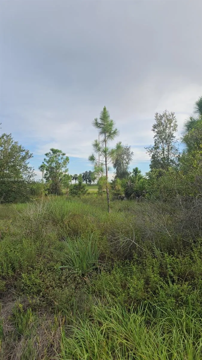 2918 Meadow