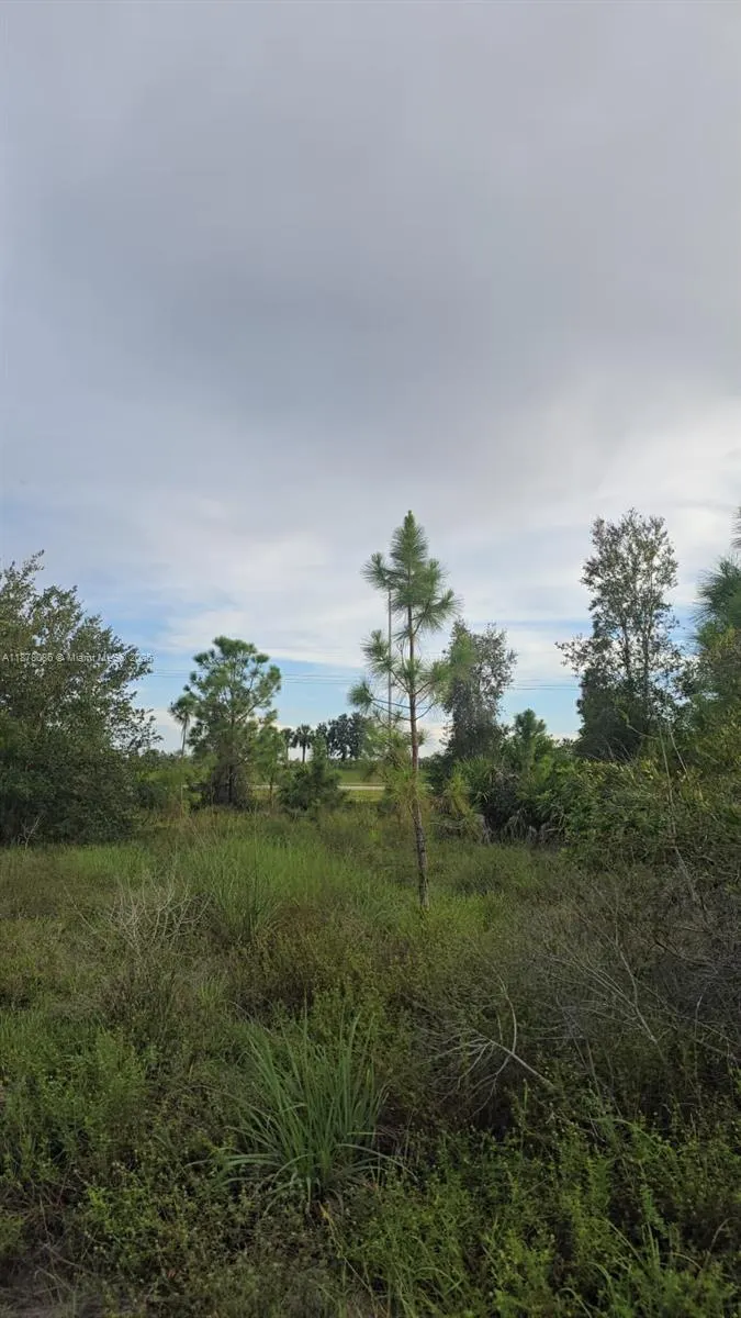 2918 Meadow