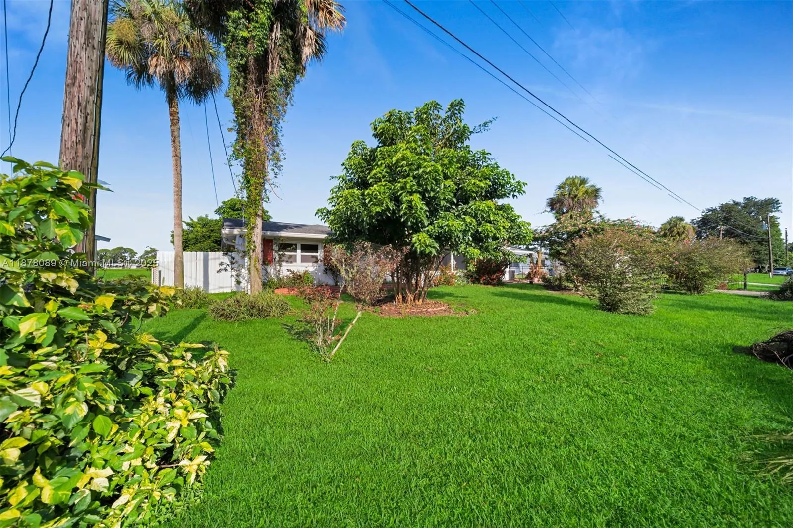 23 Lincoln Ave