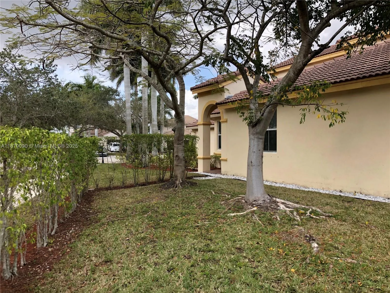 693 Live Oak Ln