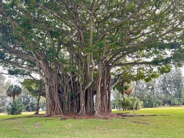 3000 S course dr, #501