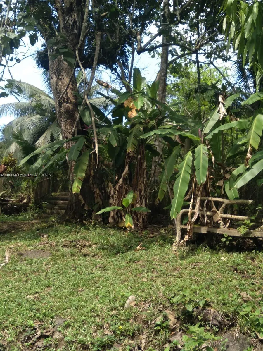 00 St. Mary, Jamaica
