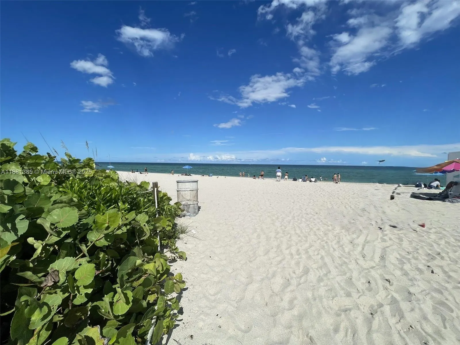 7326 Collins Ave, #207