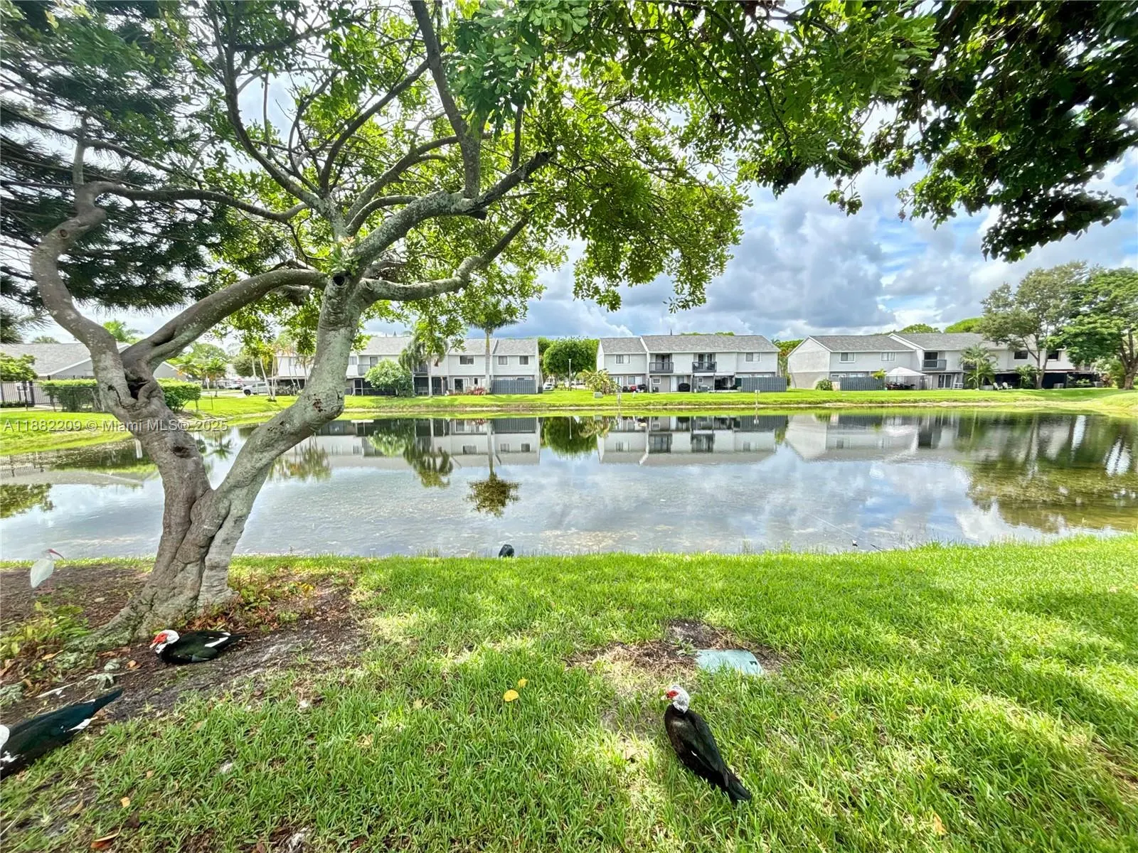 4805 Pier Dr, #4805