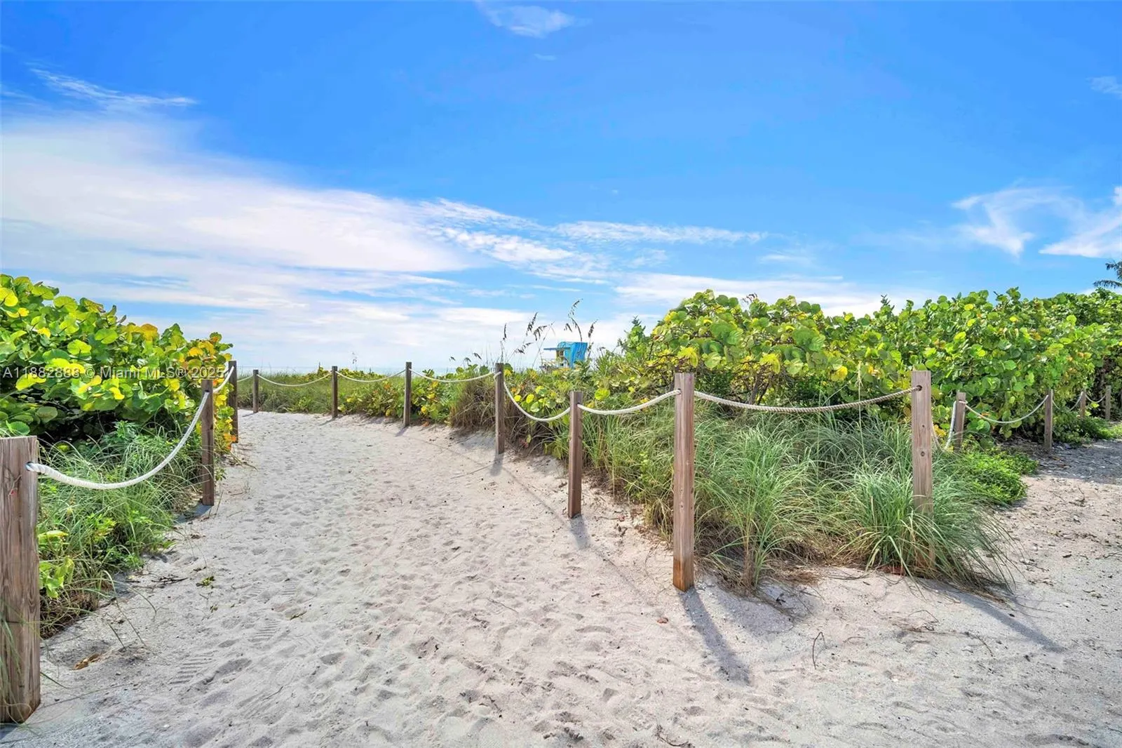 5313 Collins Ave, #502