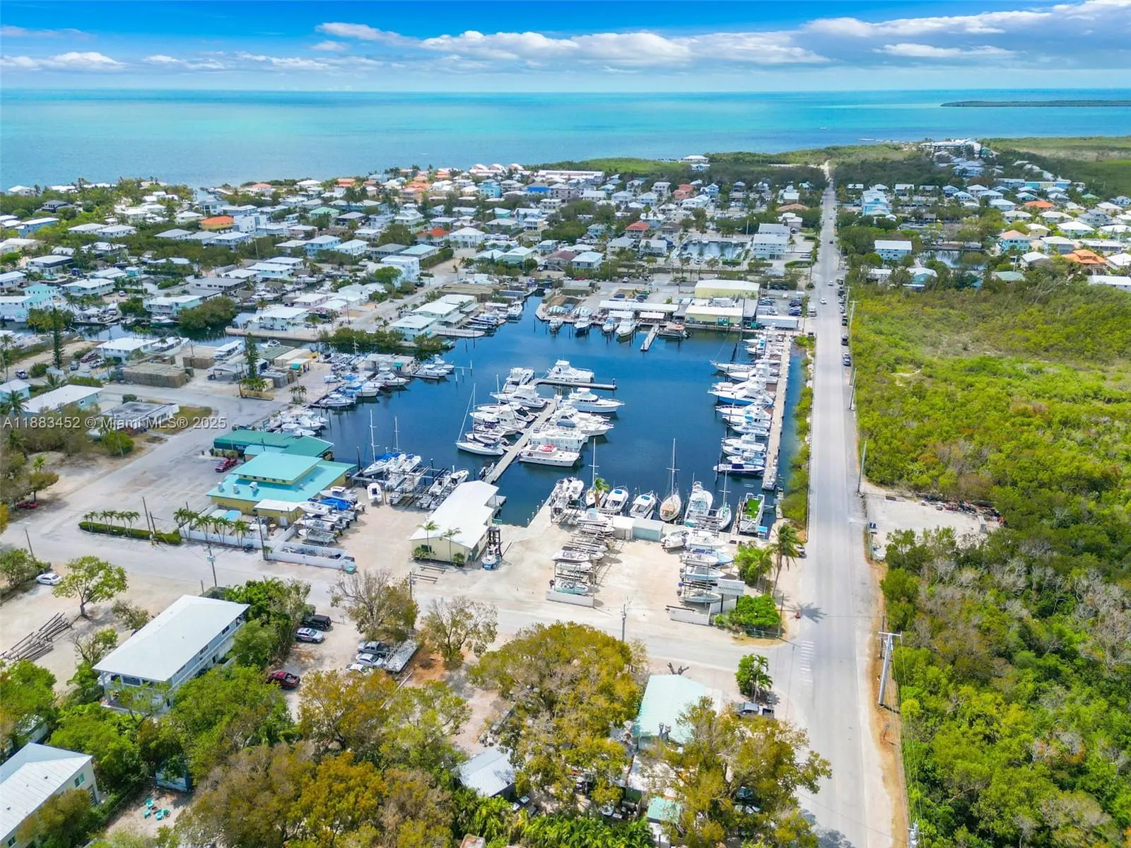 7 Coral Dr
