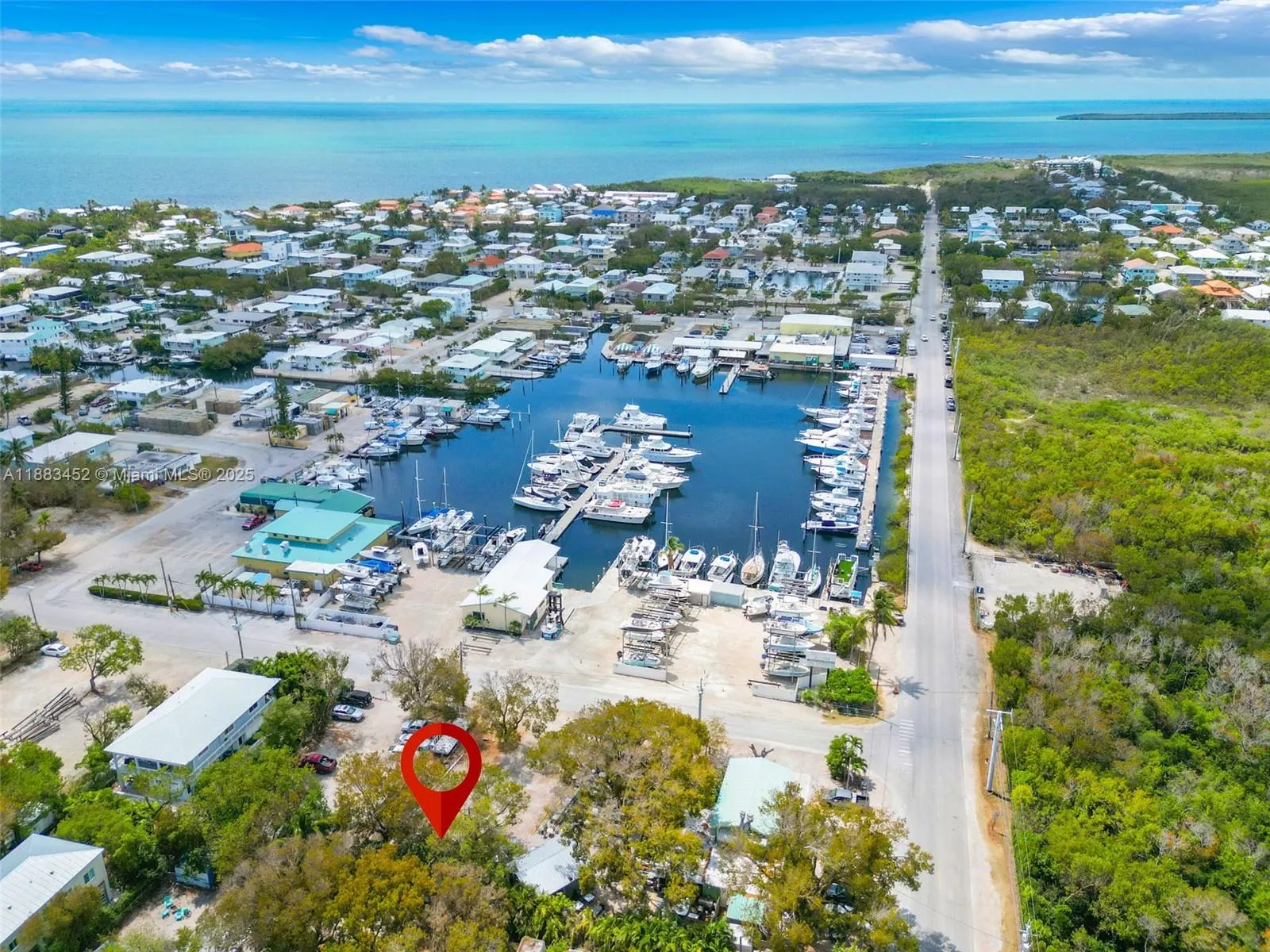 7 Coral Dr
