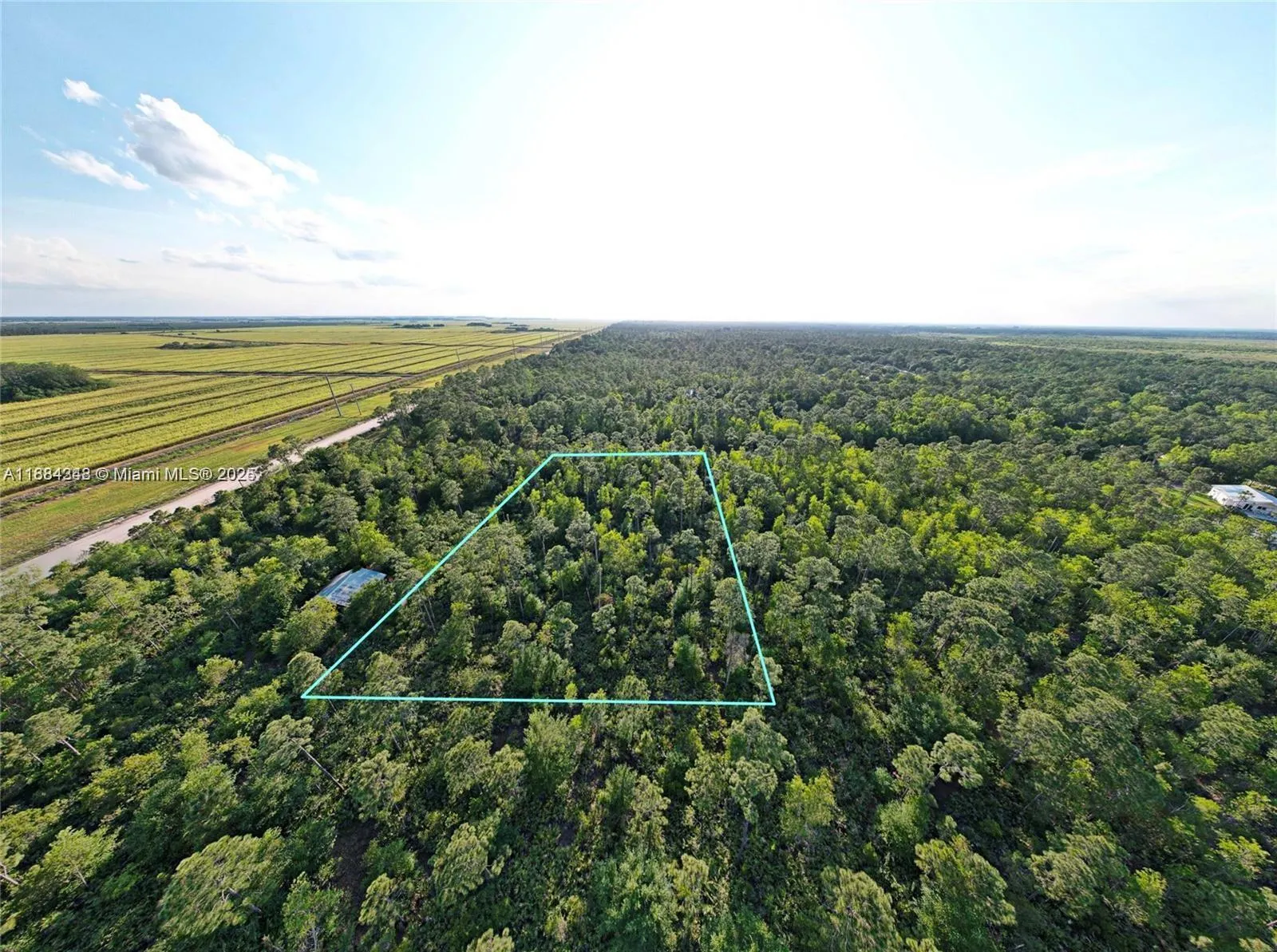 0 Pioneer FL