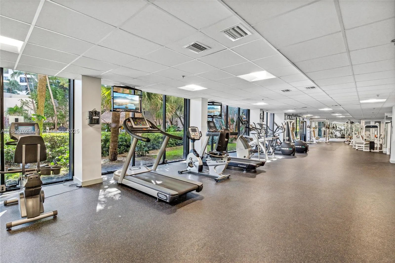 540 Brickell Key Dr, #507
