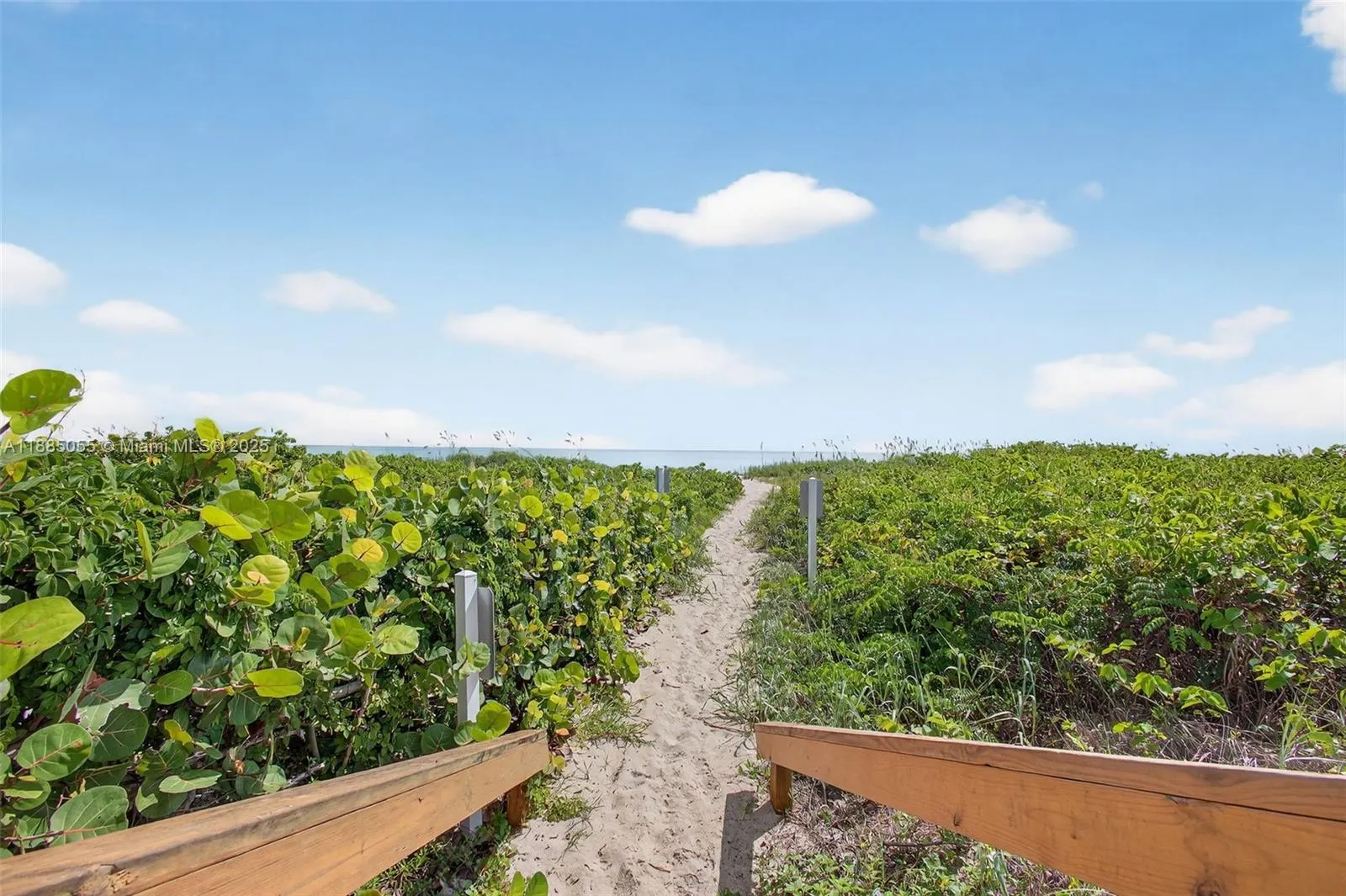 3200 N Highway A1a, #1107