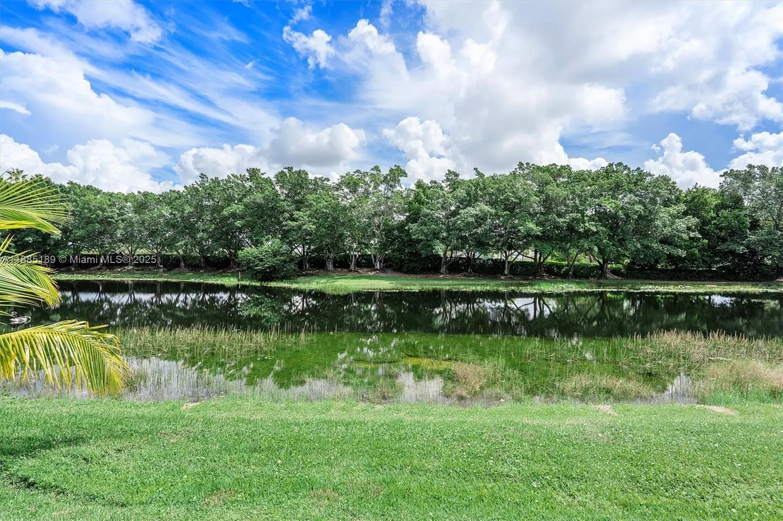 430 Alexandra Cir