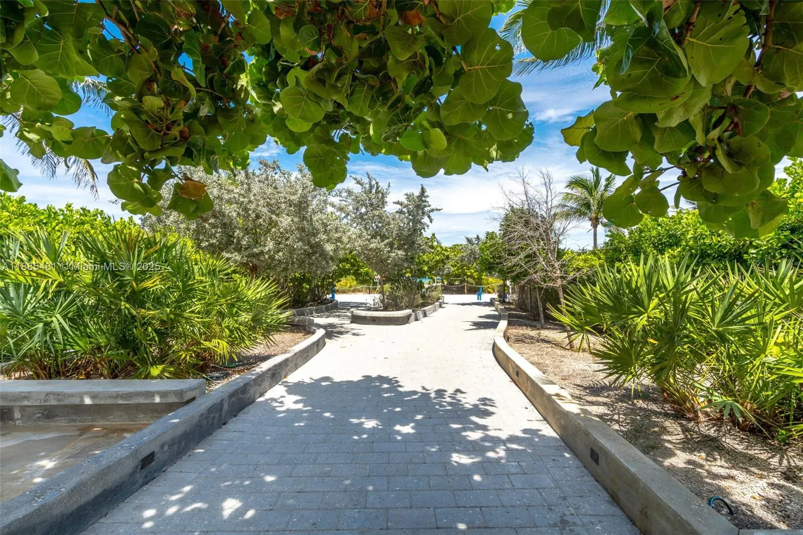 8877 Collins Ave, #303