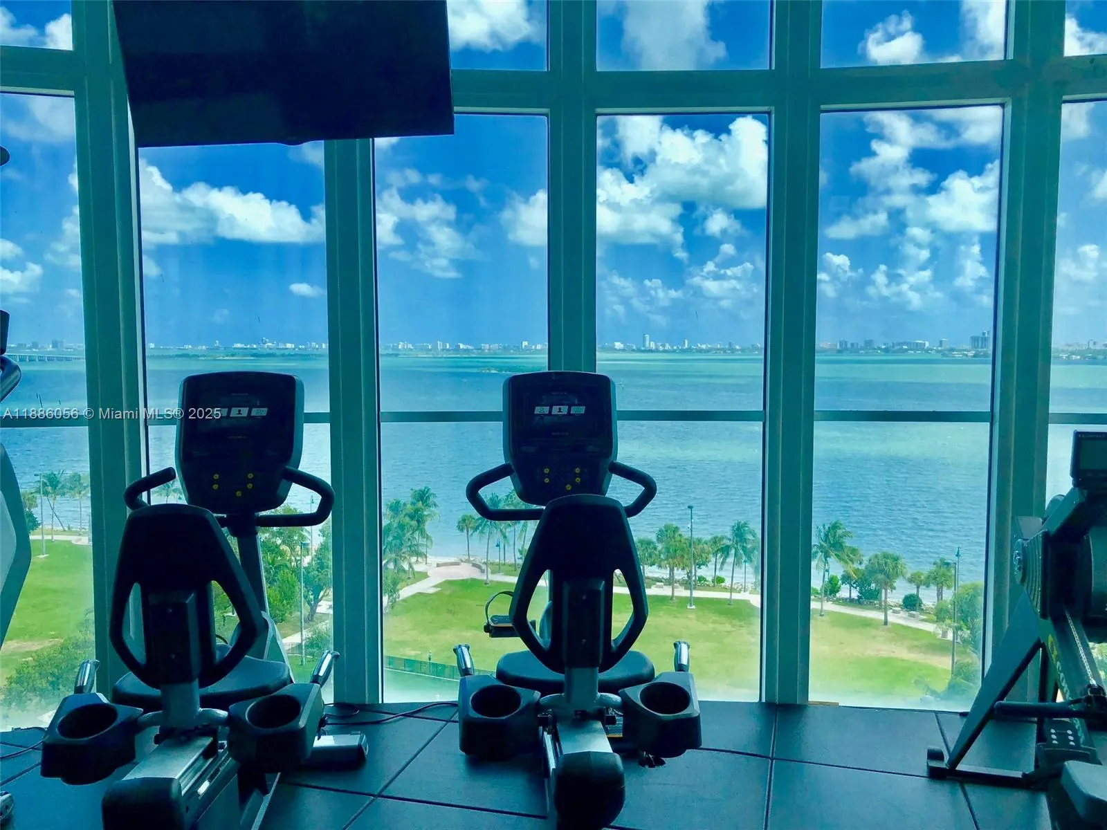1800 N BAYSHORE DR, #1715