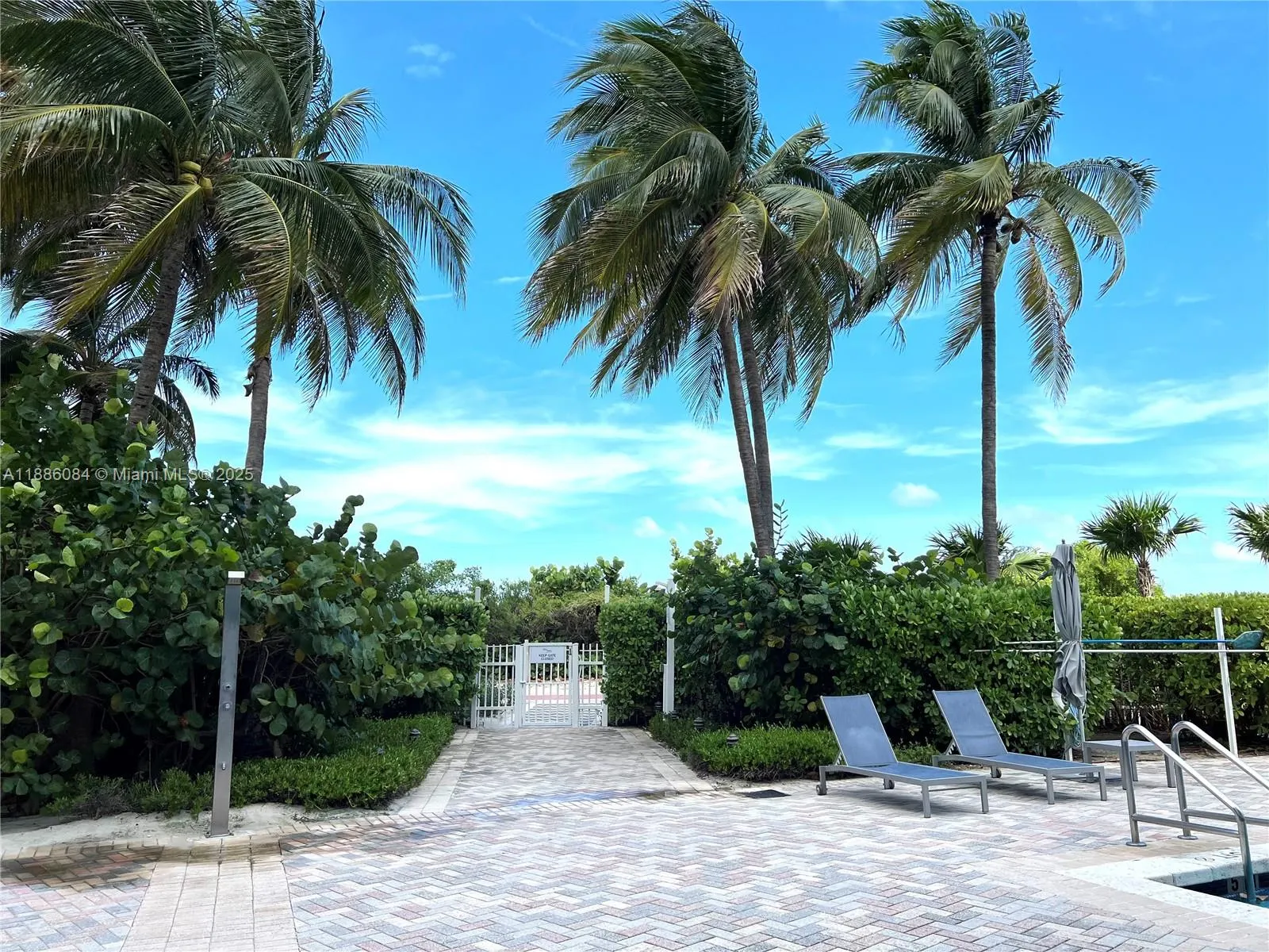 6515 Collins Ave, #1801
