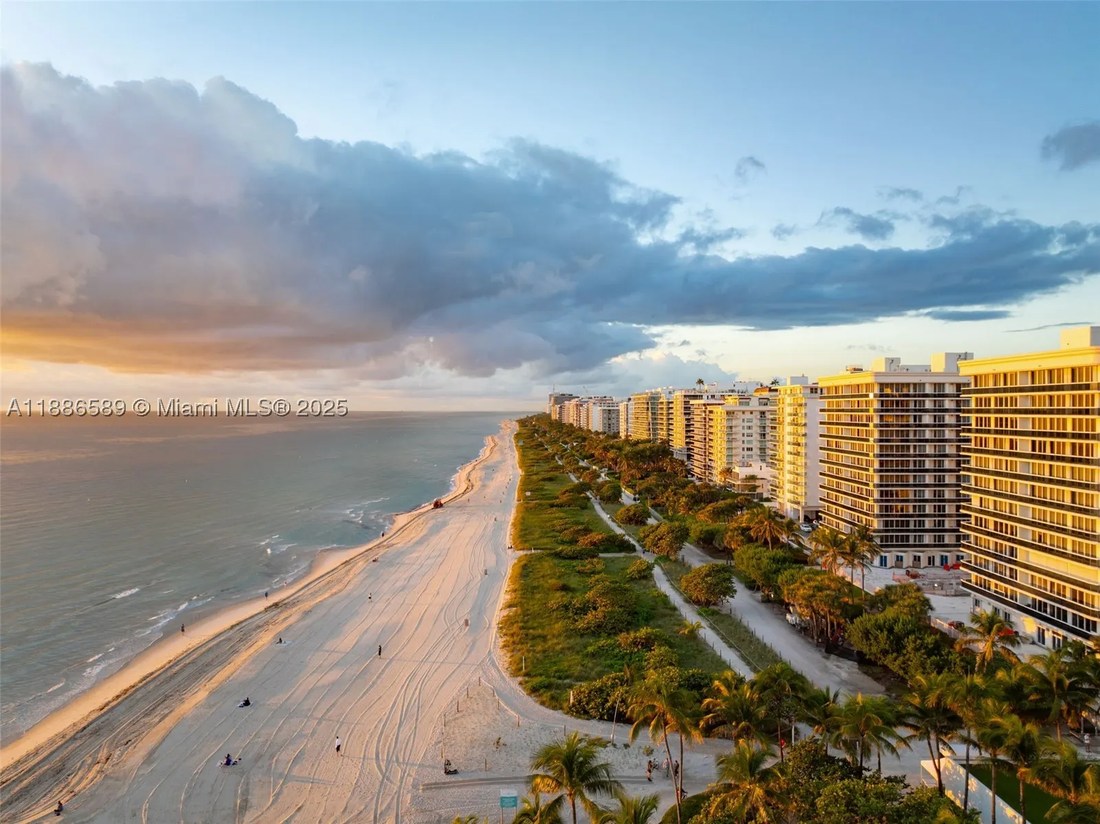 9705 Collins Ave #2304N