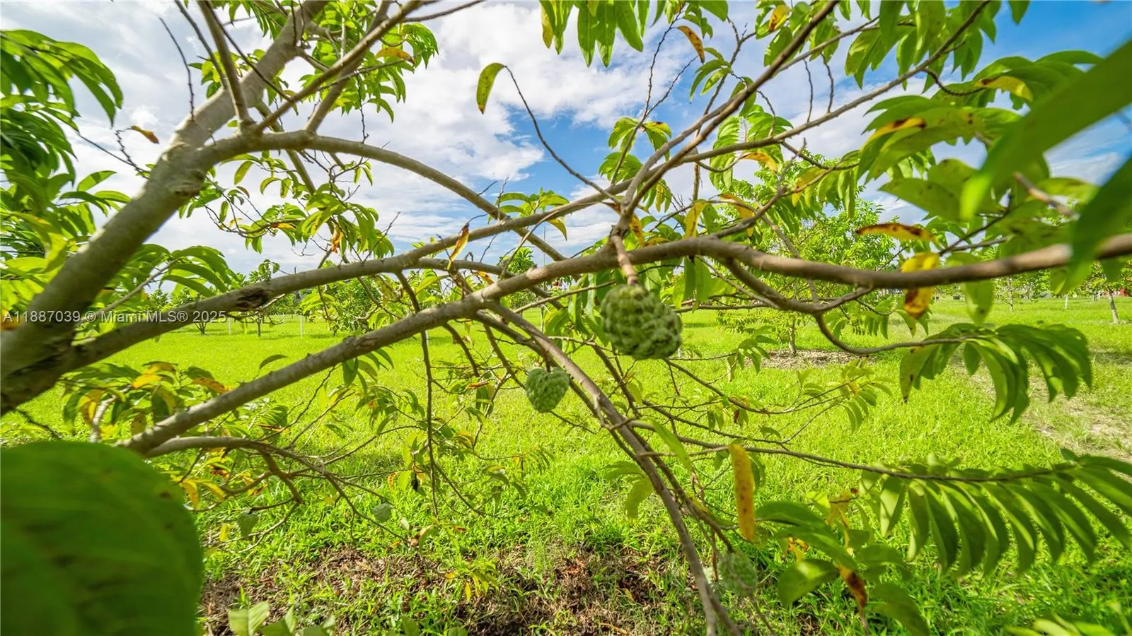 Unincorporated County, Miami, FL
