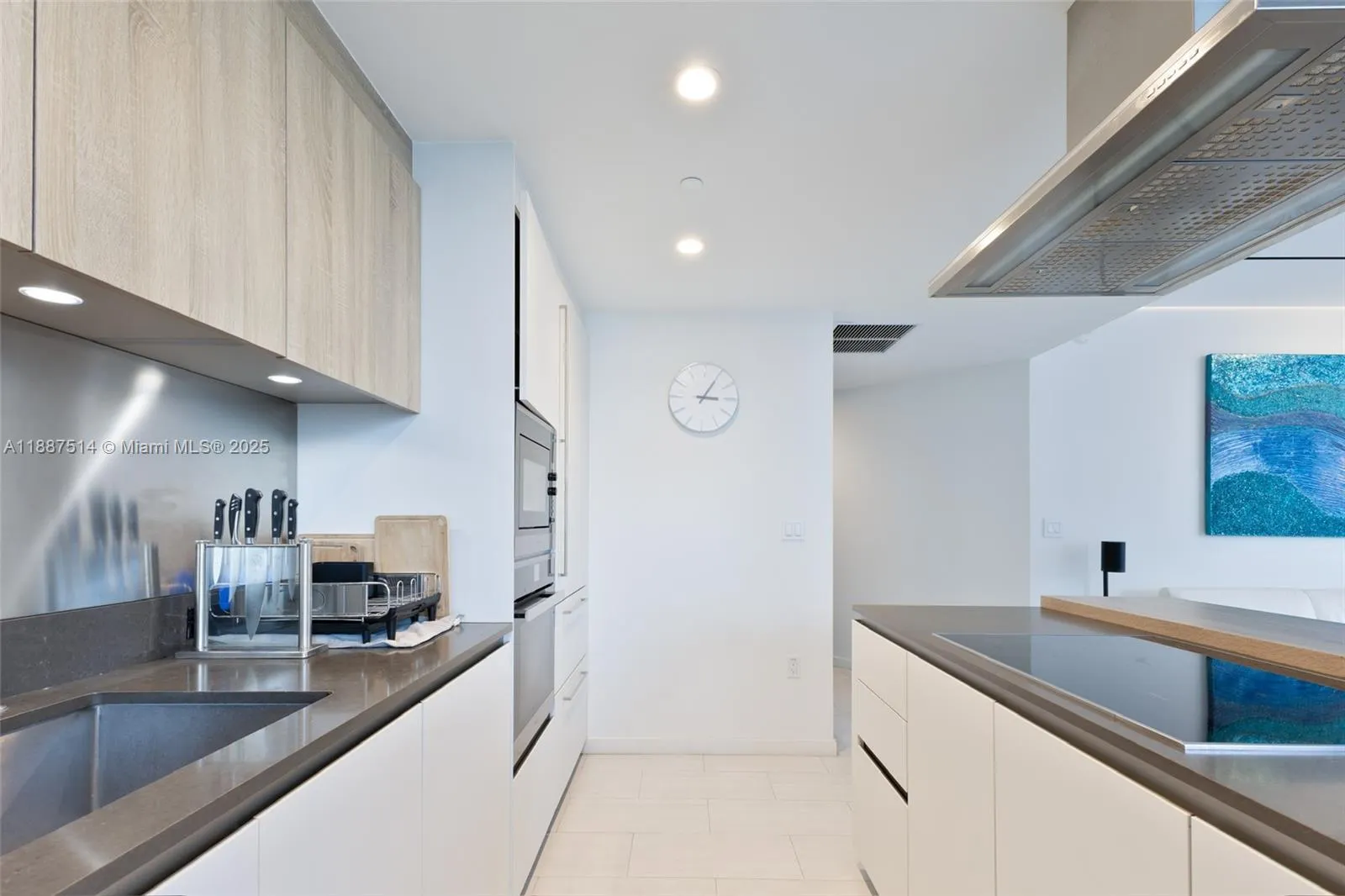 1000 Brickell Plz, #2515