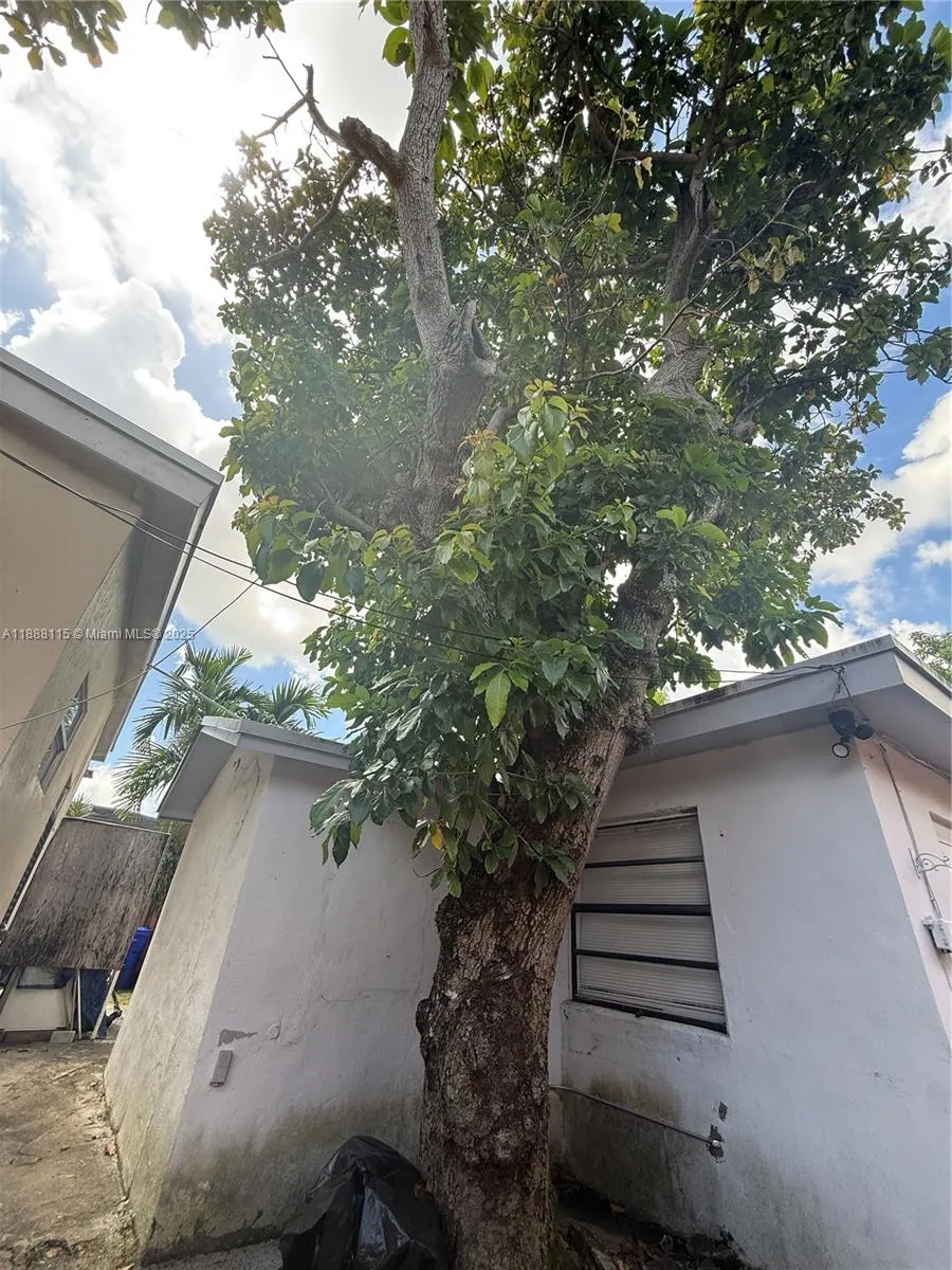 810 NW 24th Ct
