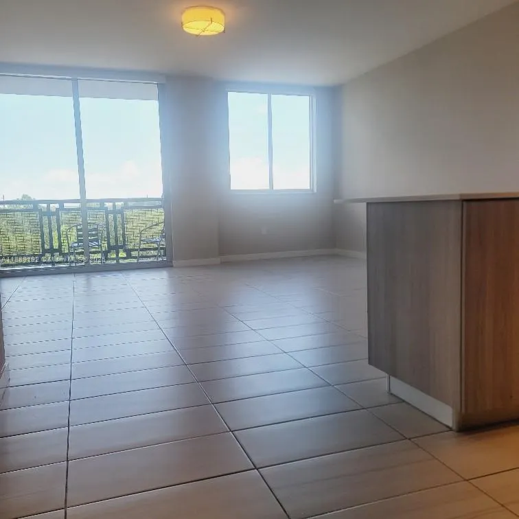 28250 S Dixie Hwy, #502