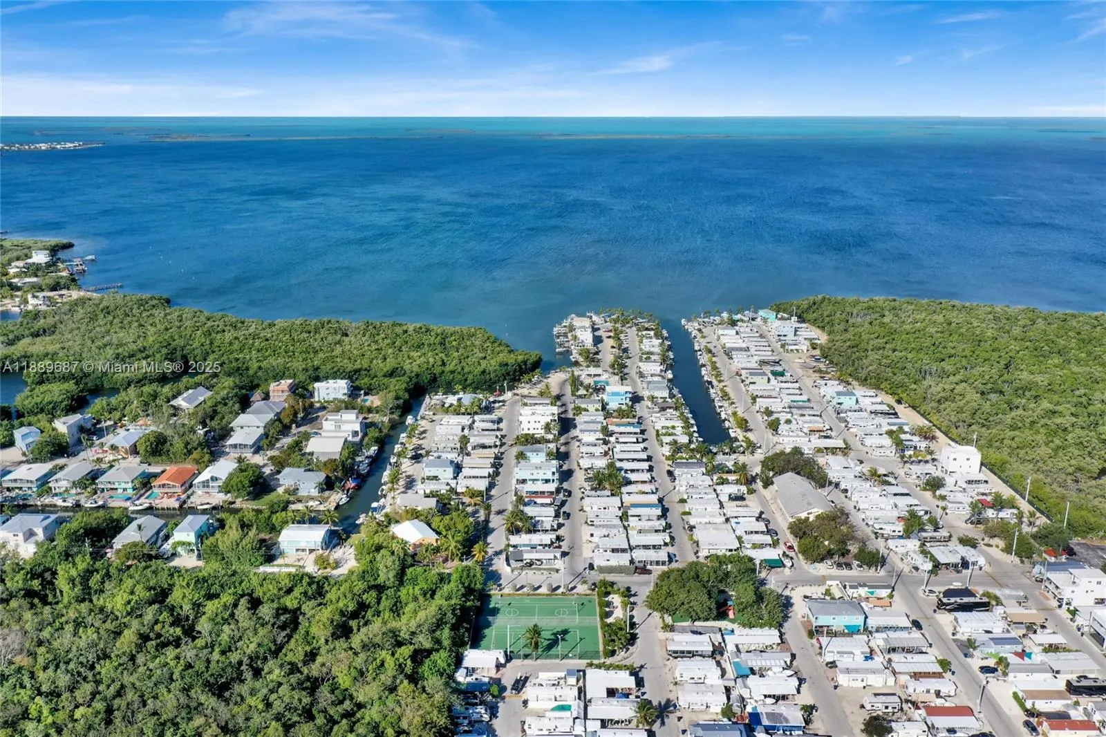 325 Calusa ST 497