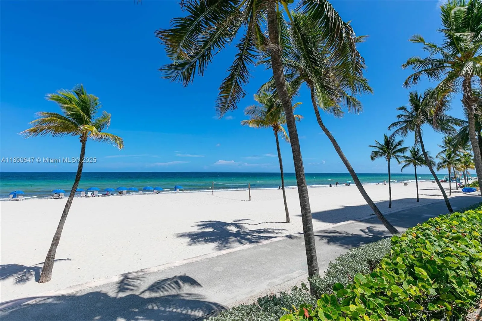 2401 S Ocean Dr, #1405