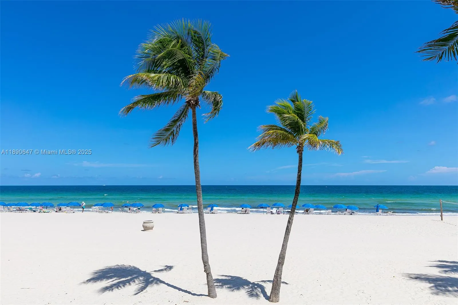 2401 S Ocean Dr, #1405