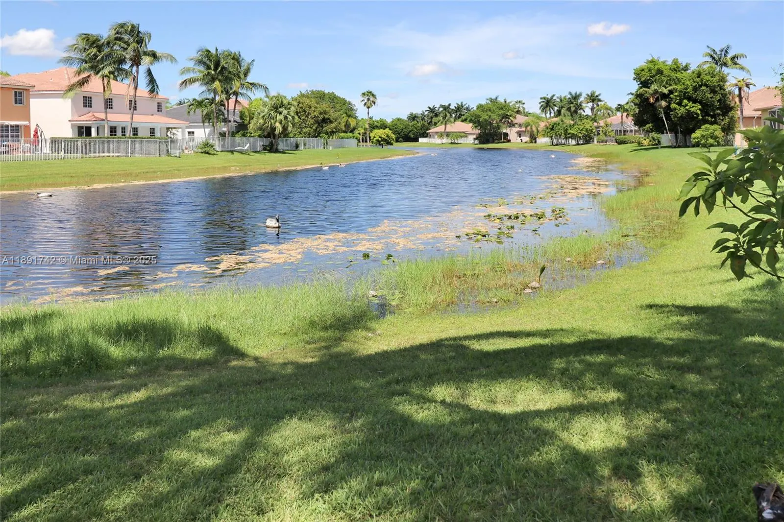 1600 Blue Jay Cir, #1