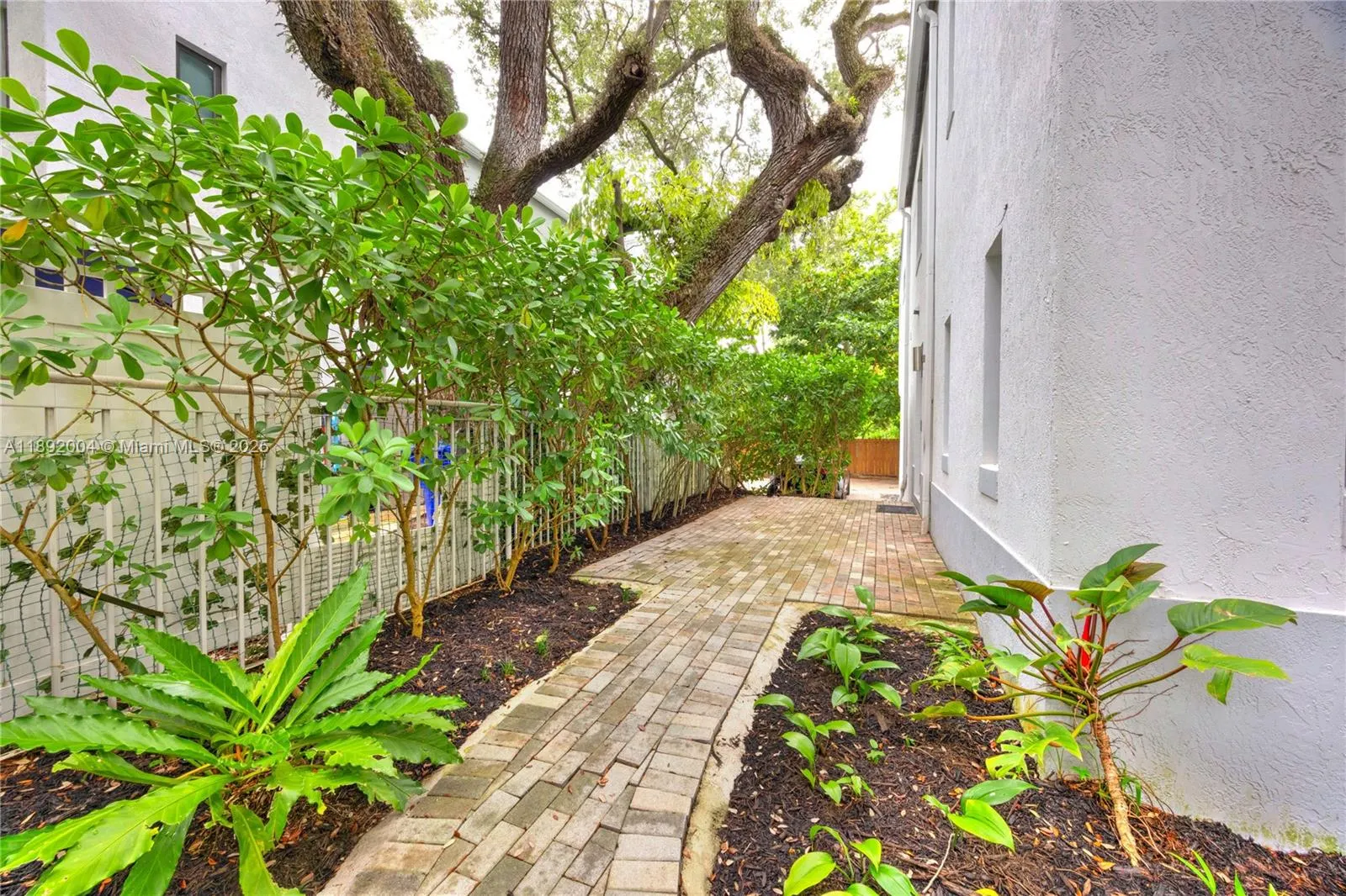 3170 Jackson Ave, #5