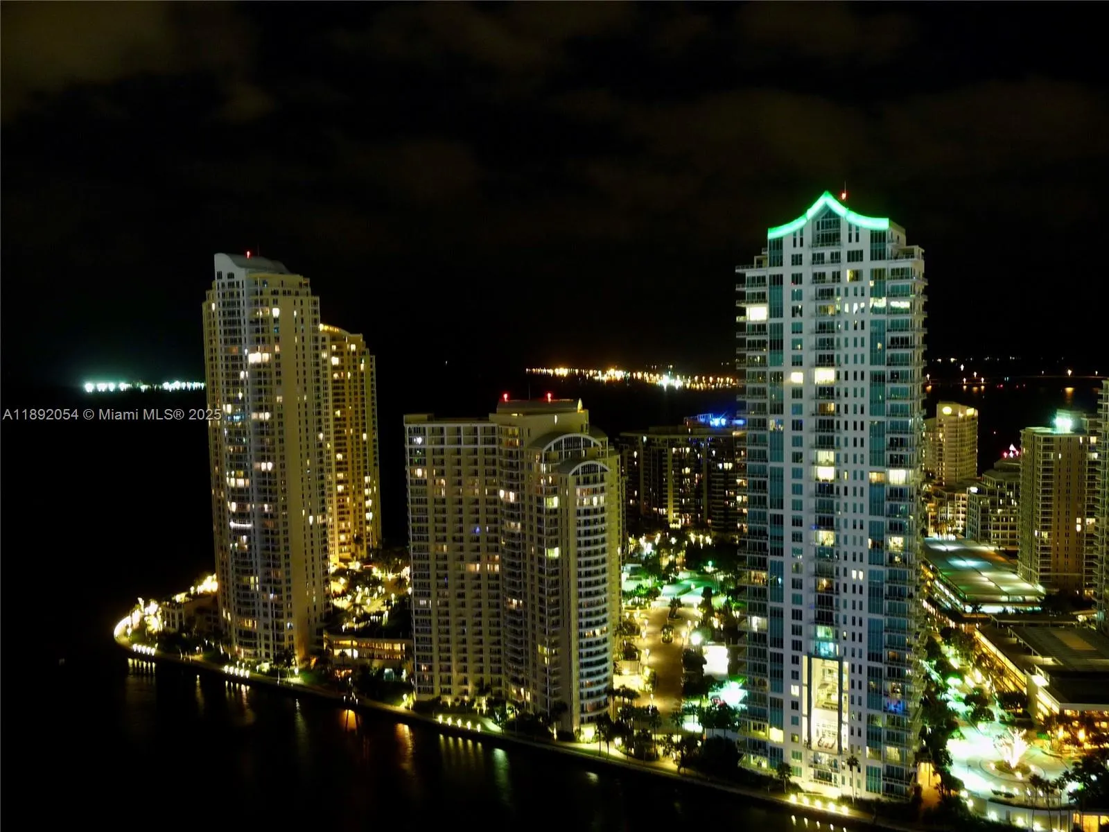 325 S Biscayne Blvd, #3917