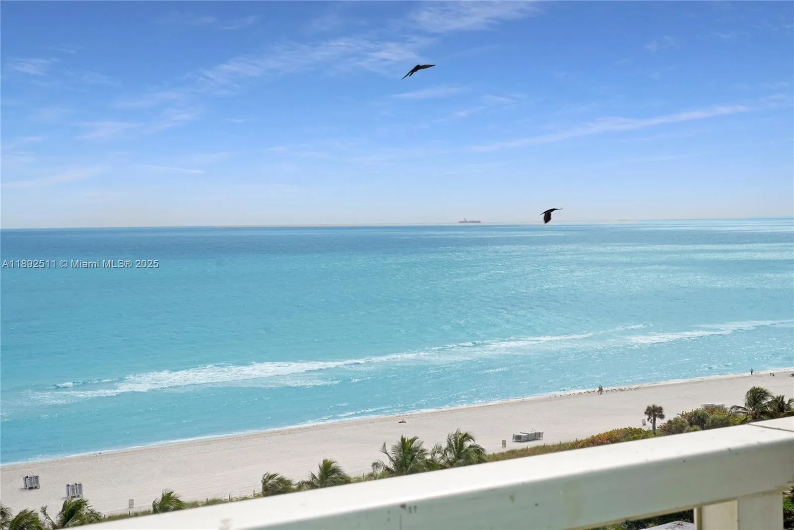 5101 Collins Ave, #14M