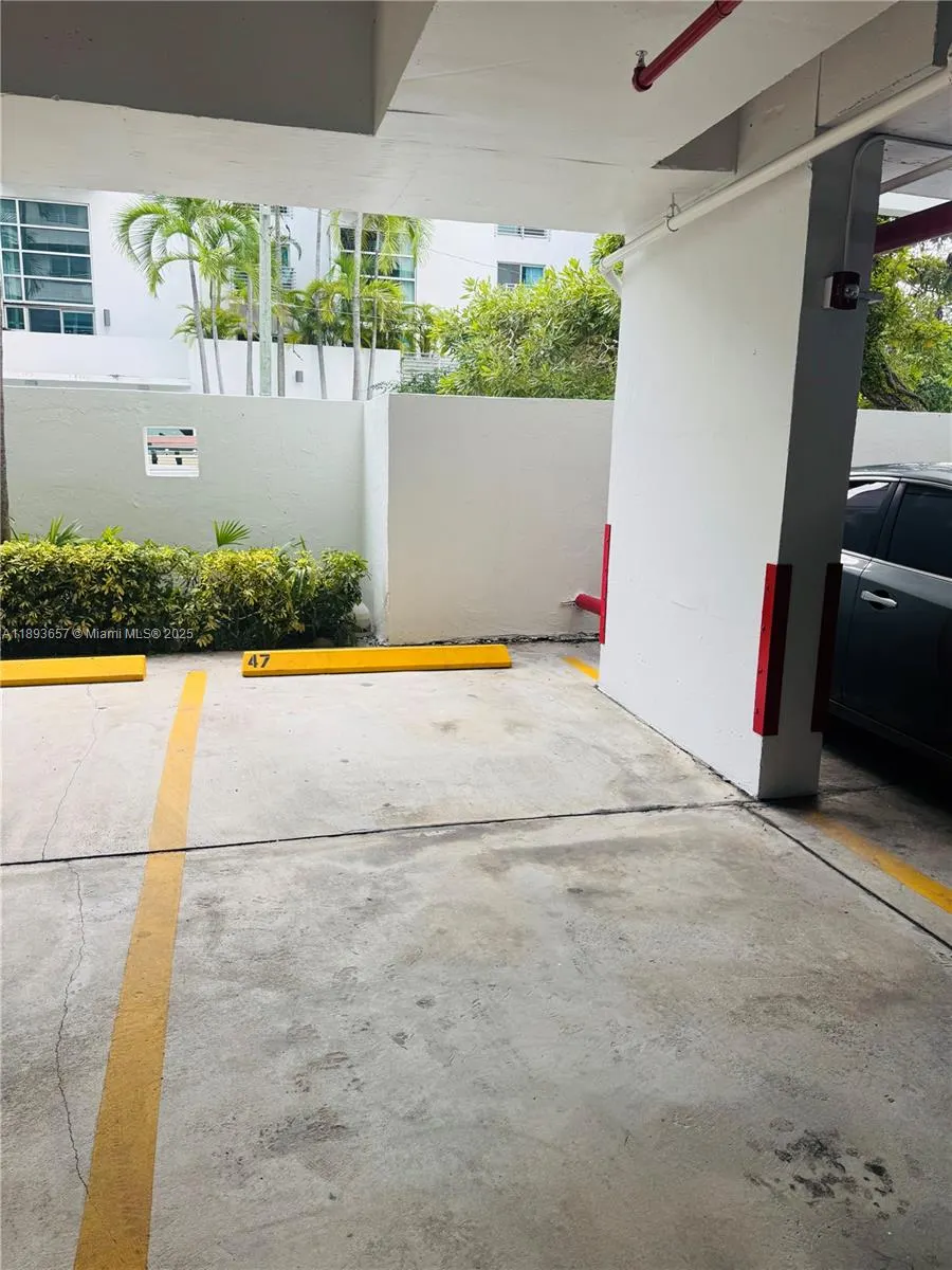 7800 Collins Ave, #203
