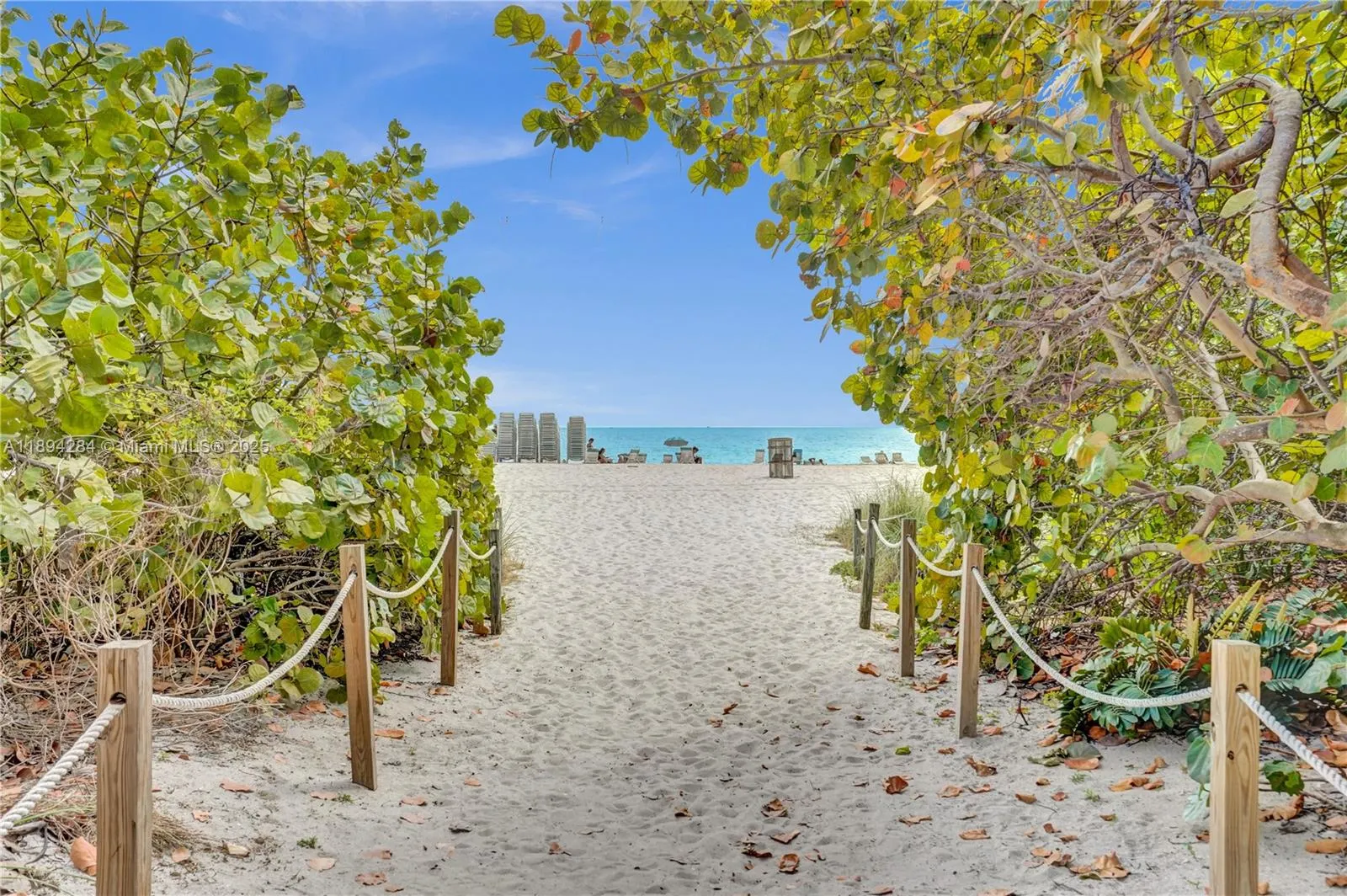 5601 Collins Ave, #504
