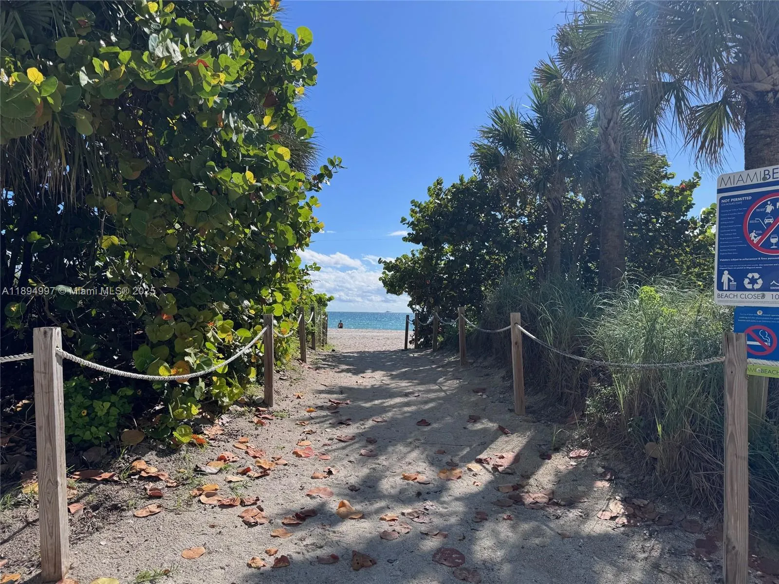 6061 Collins Ave, #10C