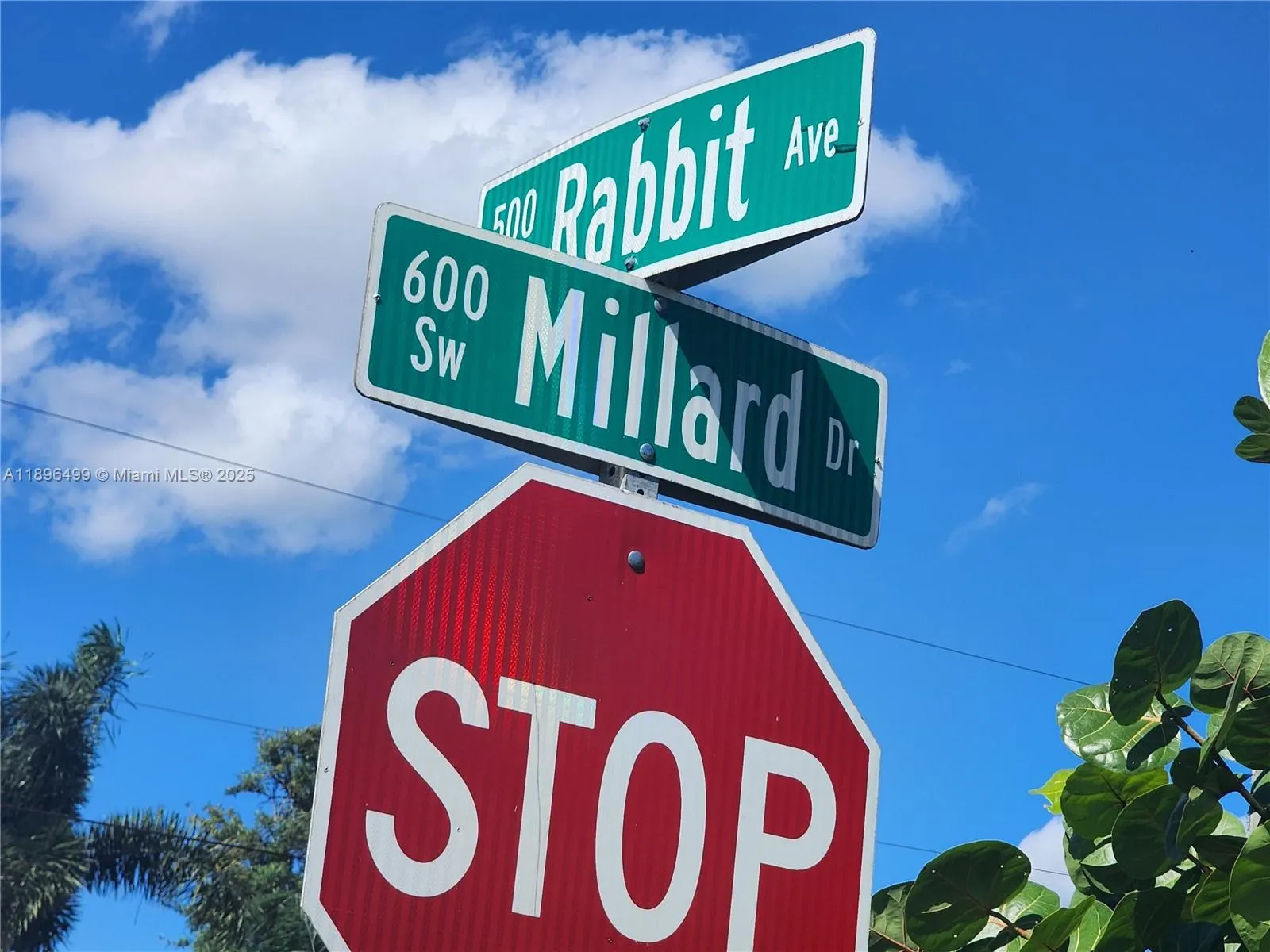 580 Rabbit Ave