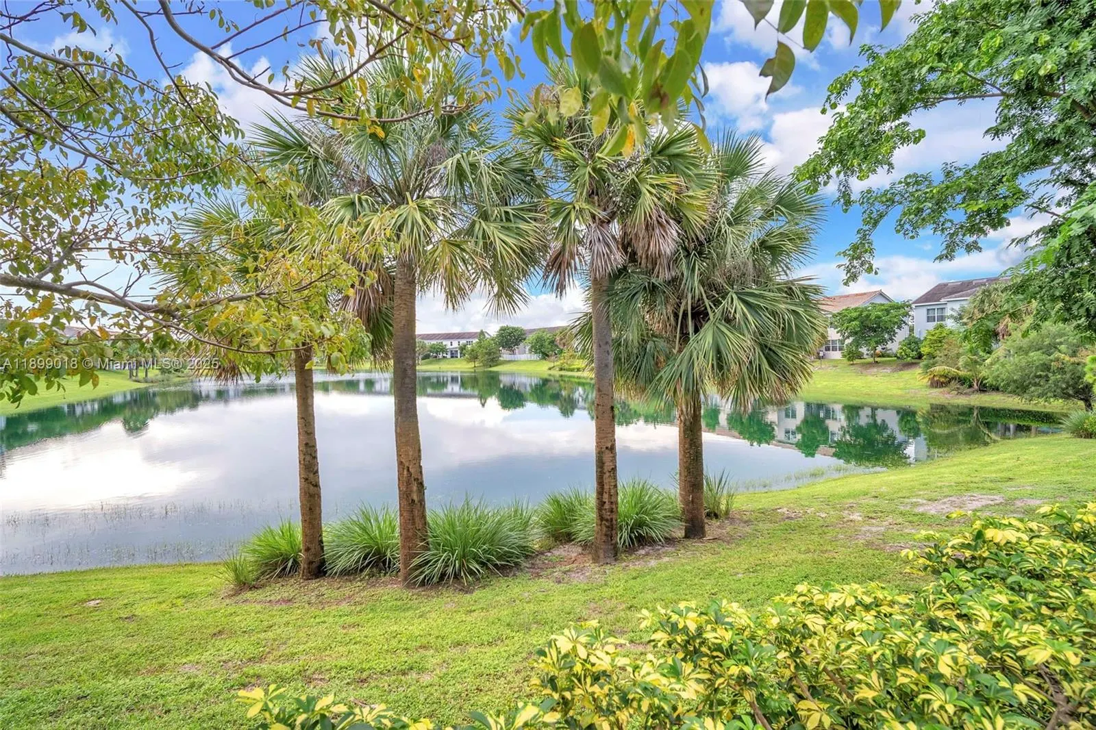 1436 Silk Oak Dr