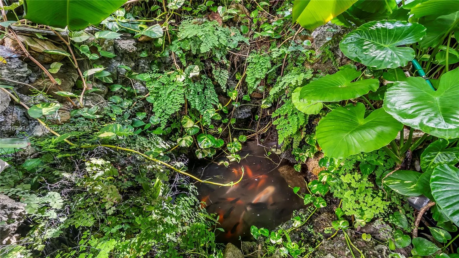 430 Poinciana Island Dr, #1710