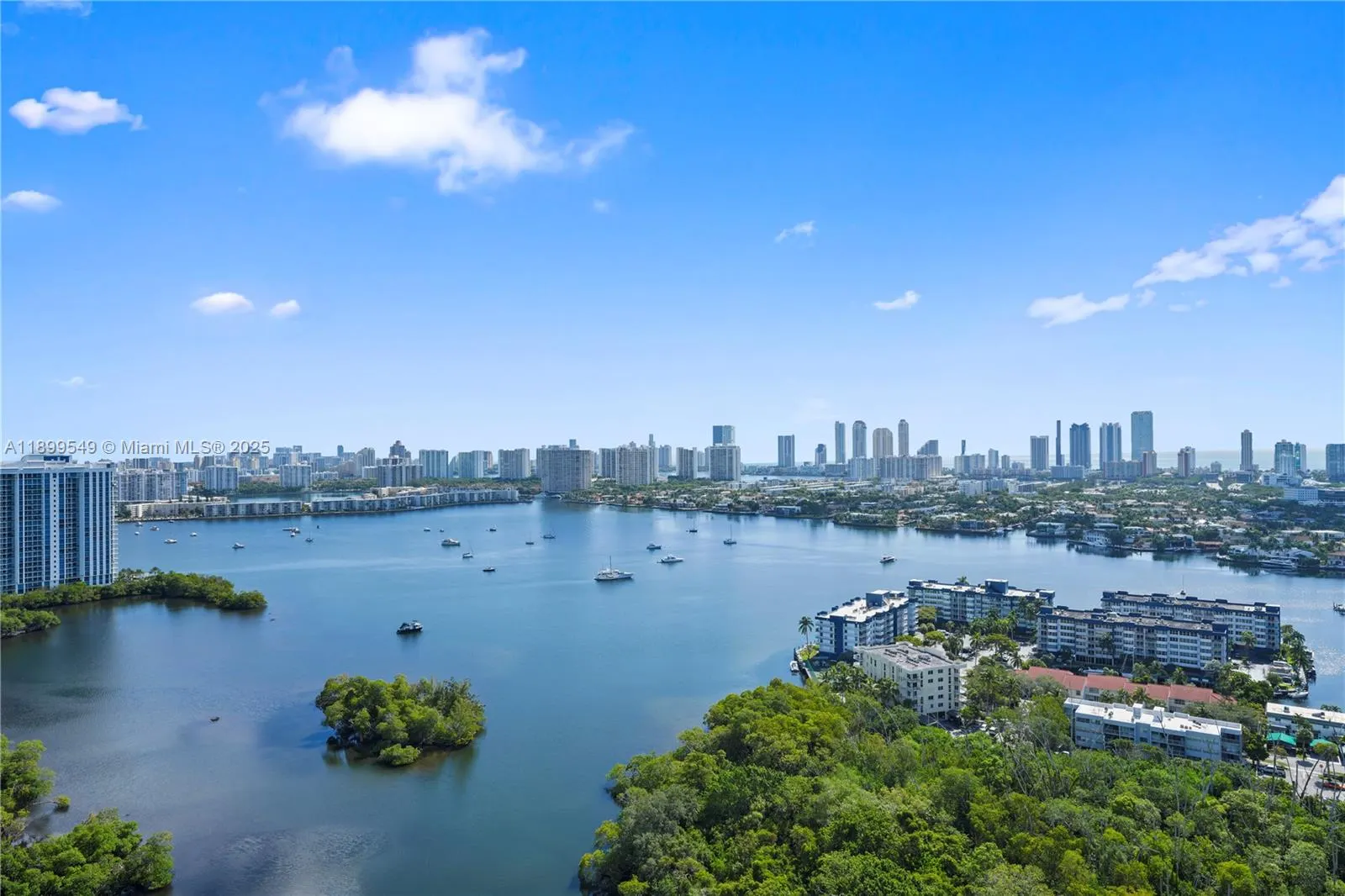 16385 Biscayne Blvd, #2901 +2 Parking