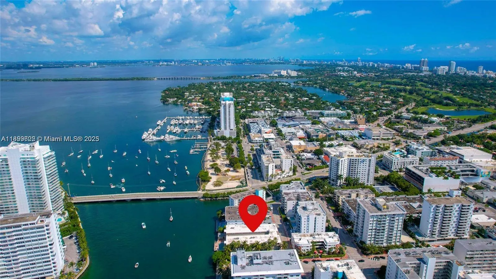 1441 Lincoln Rd, #317