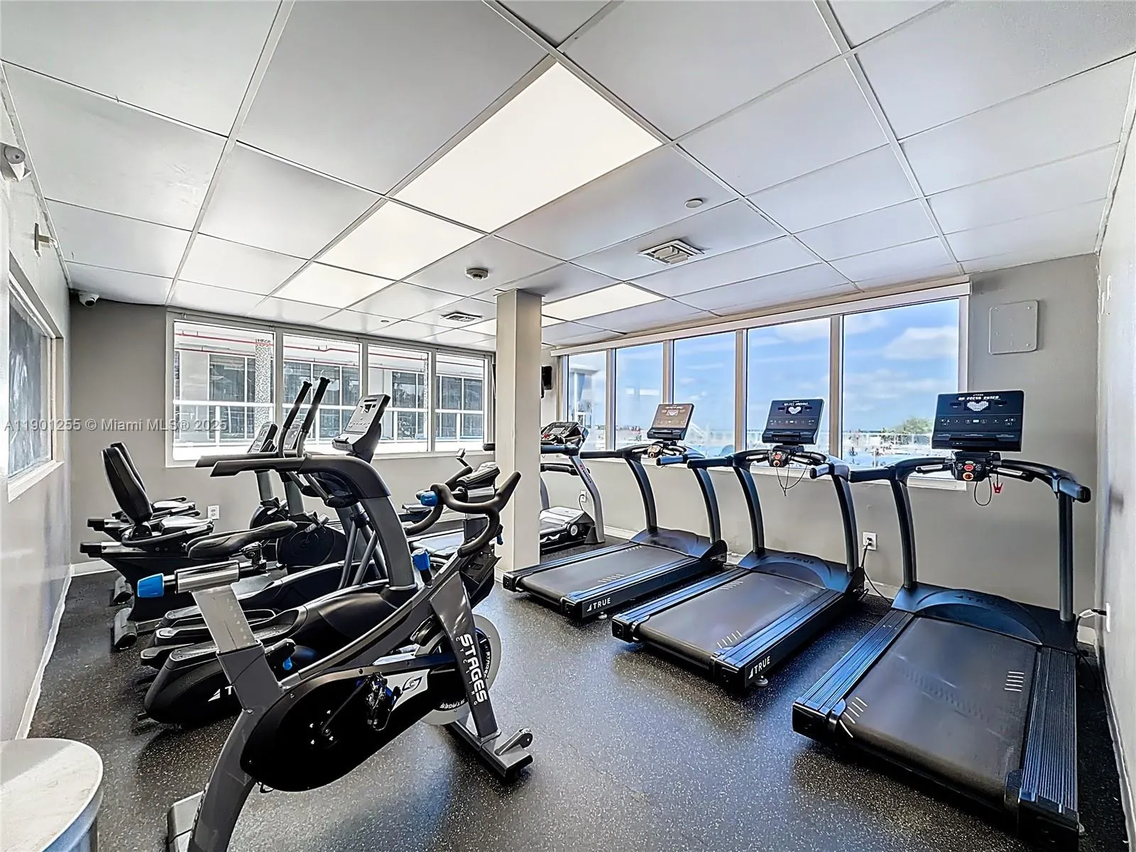 19201 Collins Ave, #729