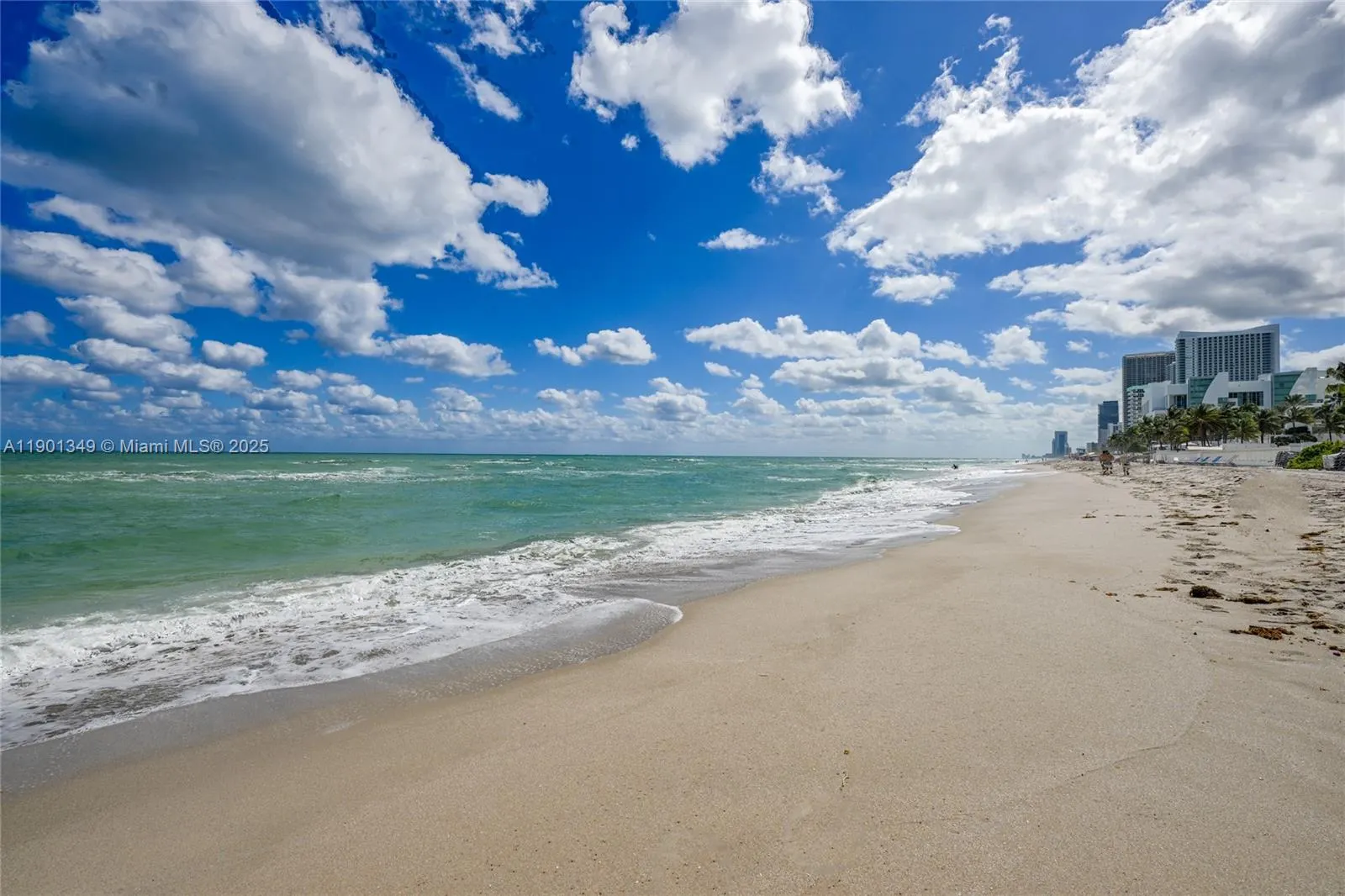 3001 S Ocean Dr, #1513