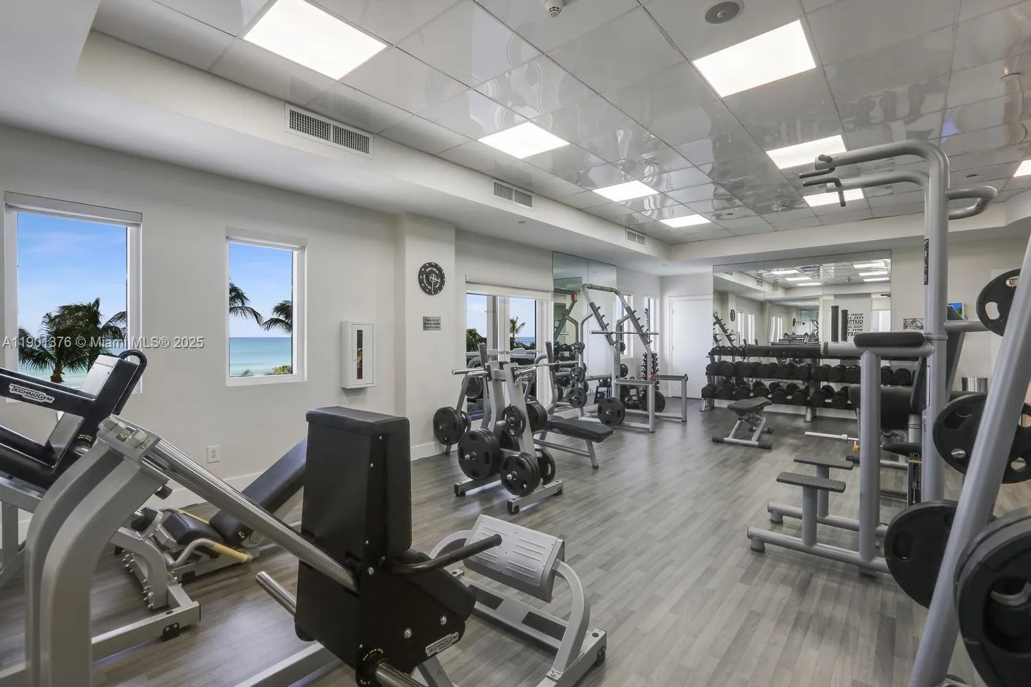 4779 Collins Ave, #1205