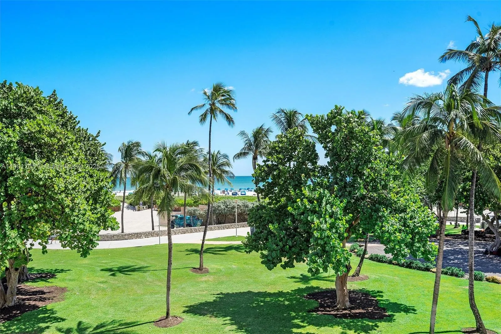 1024 Ocean Dr, #A301