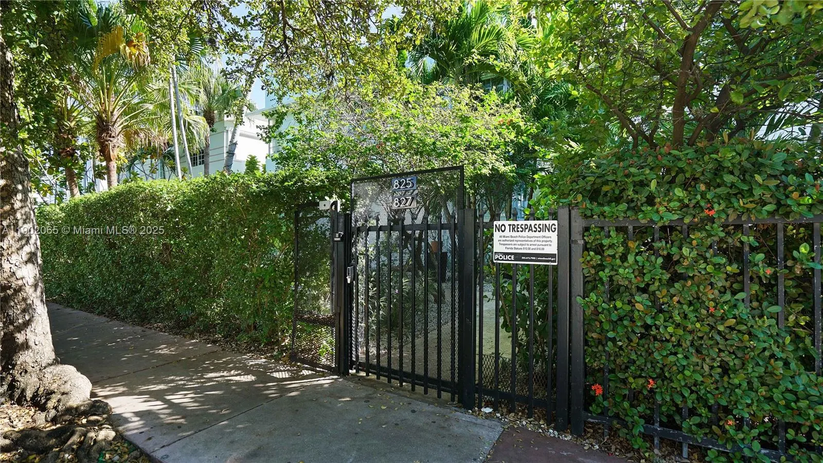 825 Jefferson Ave, #4