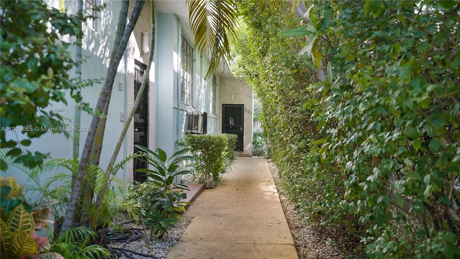 825 Jefferson Ave, #4