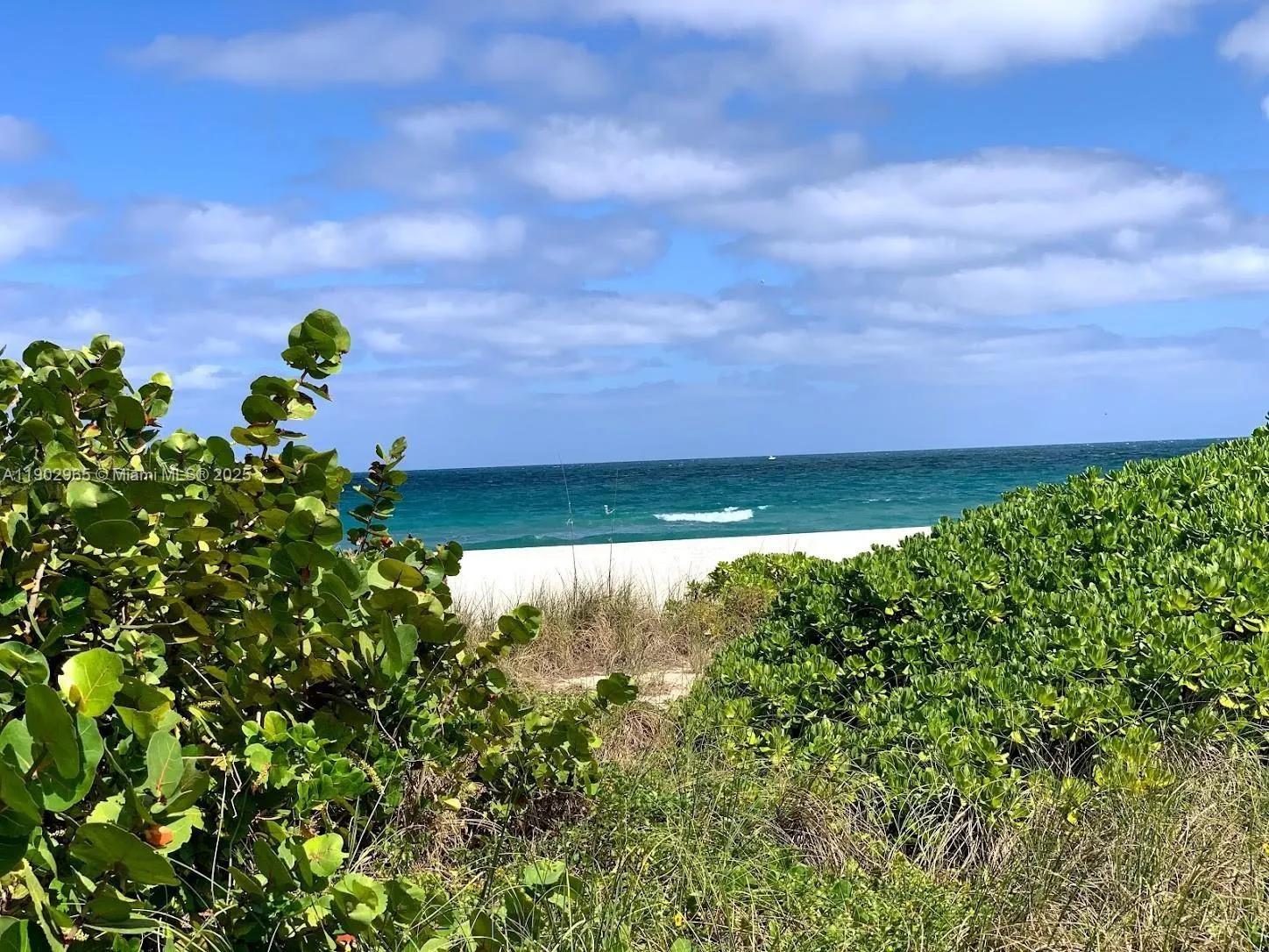 9008 Collins Ave, #402