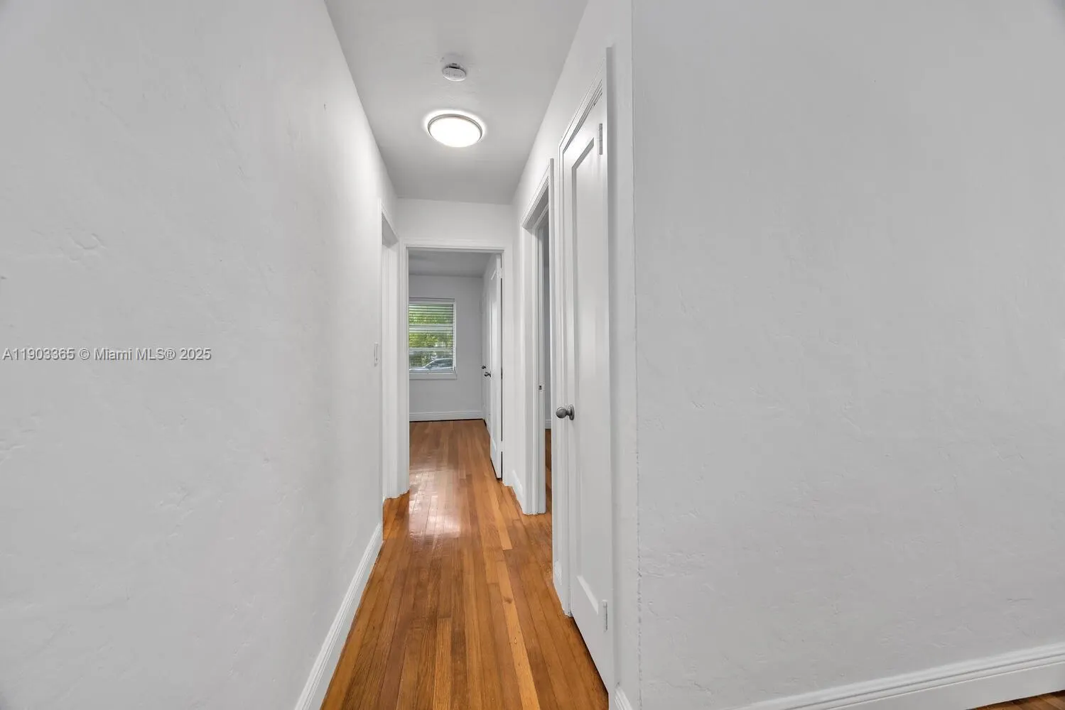 23 Phoenetia Ave, #1