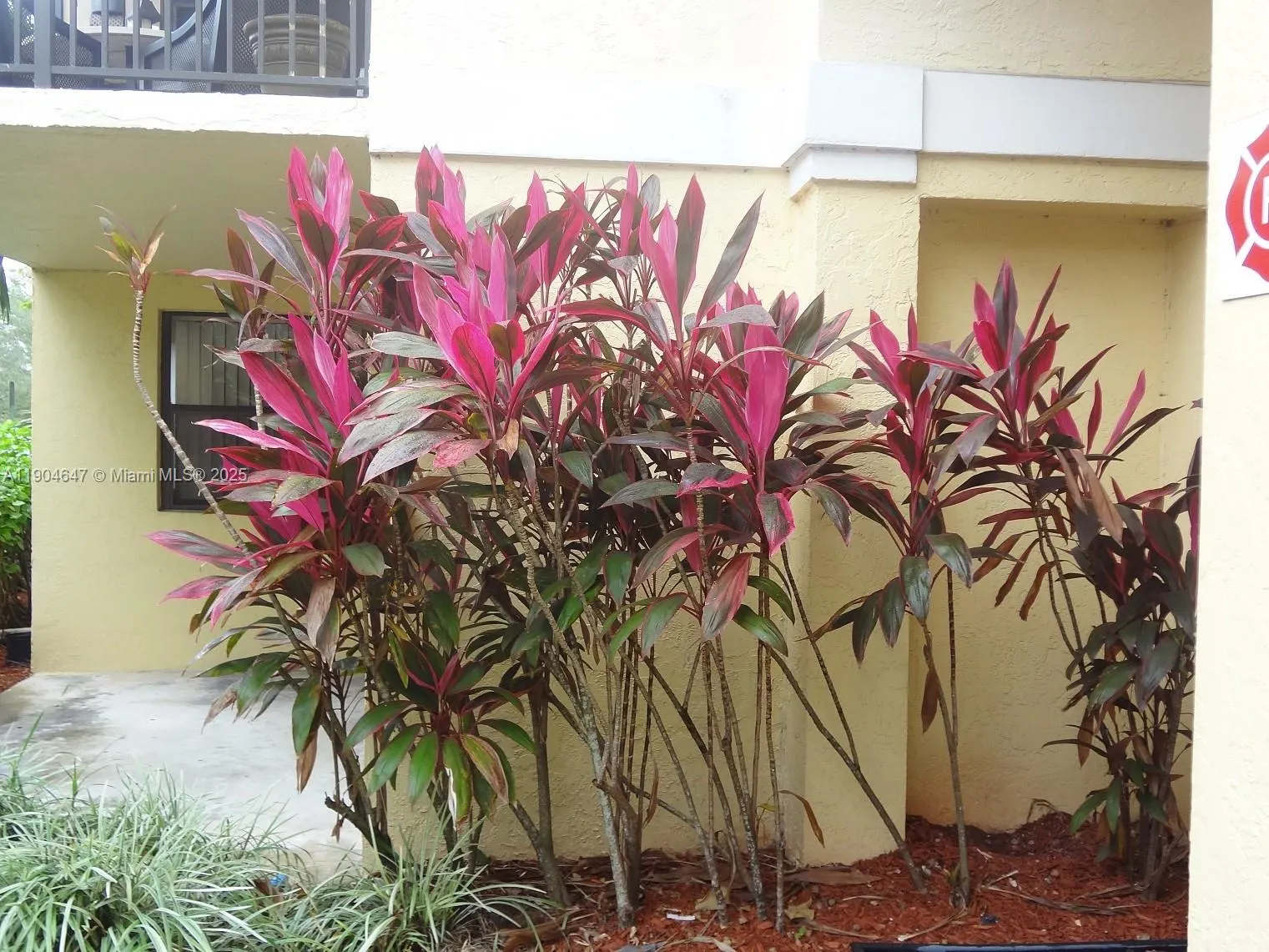 10125 W Sunrise Blvd, #104